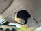 2019 Ford Fusion Energi Titanium